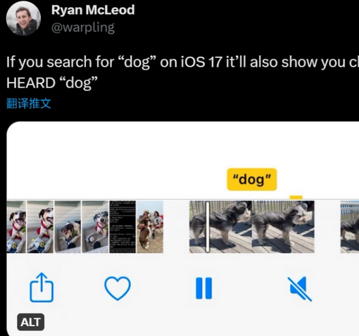 扶绥apple维修店分享通过关键字搜索iPhone视频内声音 