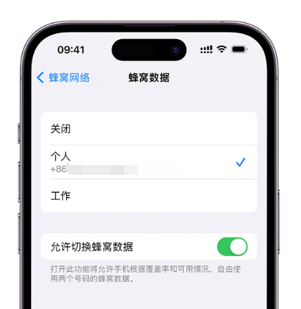 扶绥苹果维修服务分享如何在iPhone上使用双卡 