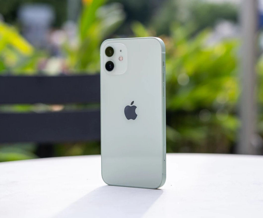 扶绥苹果手机维修分享iPhone 12 不慎落入水中如何处理 