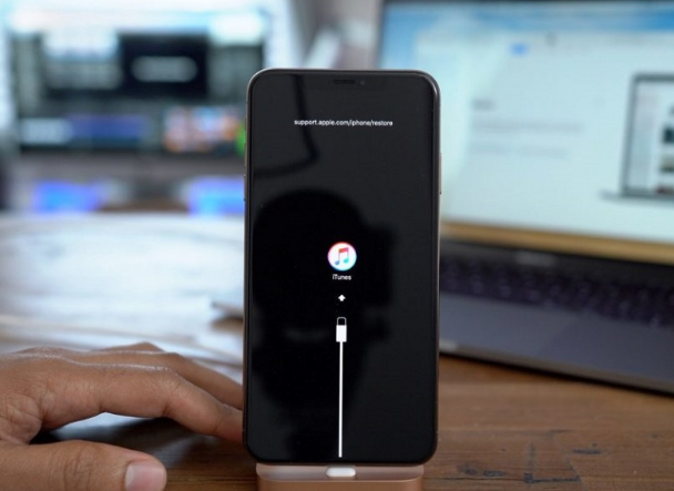 扶绥苹果手机维修分享iPhone12进DFU教程 
